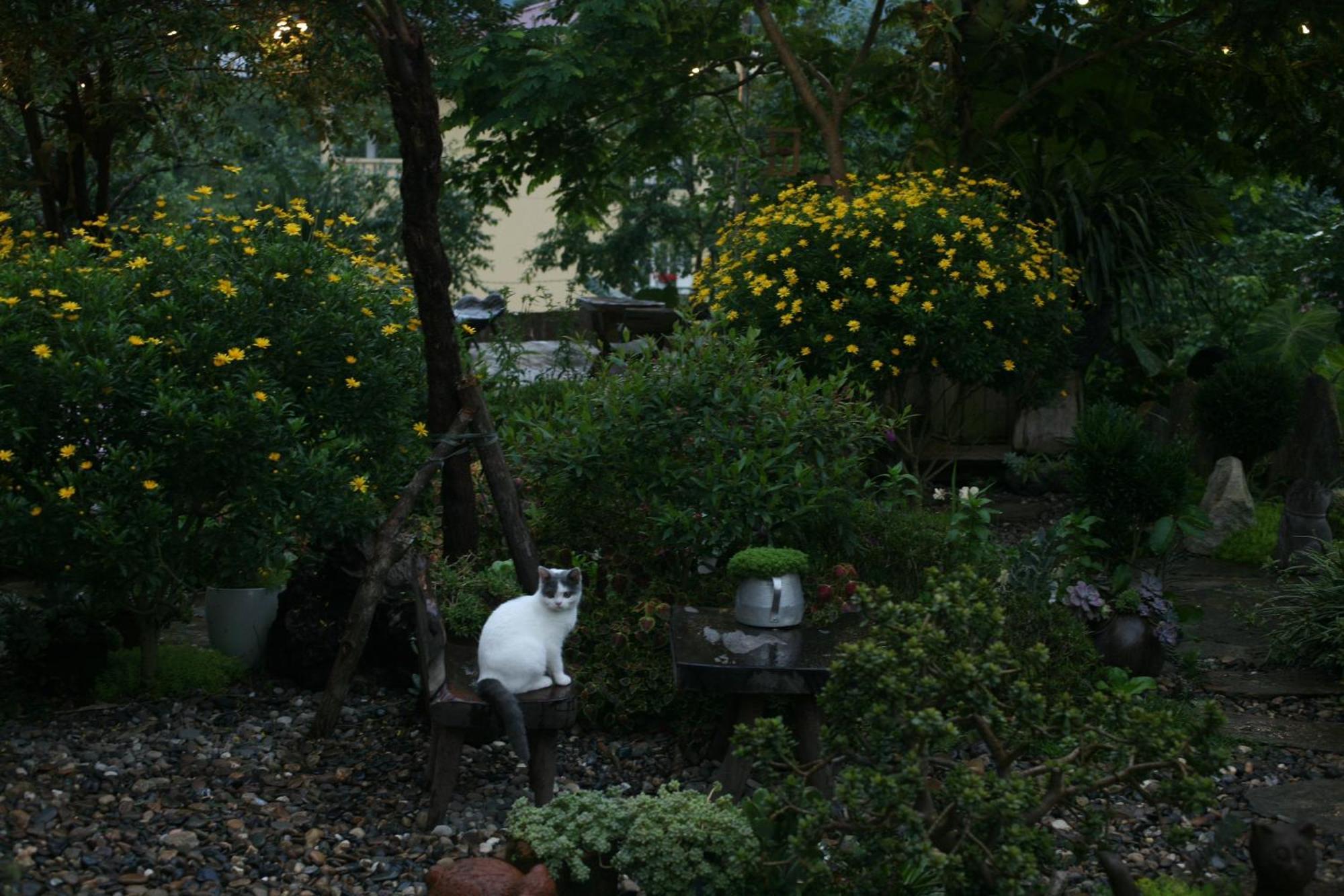 La Maison House & Bungalow 사파 외부 사진